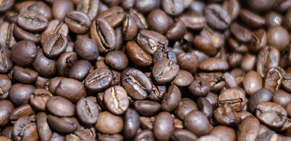 Kaffee­maschinen bei Elektro Sülzner in Mihla